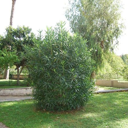 Roma Eur Bed & Breakfast Exterior foto